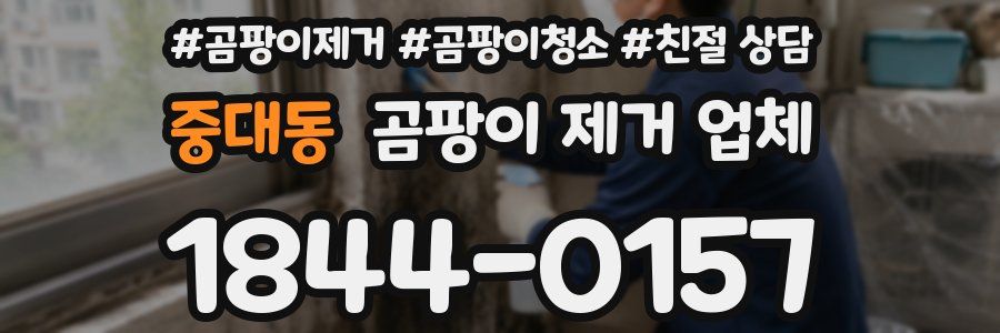 중대동 곰팡이 제거 업체