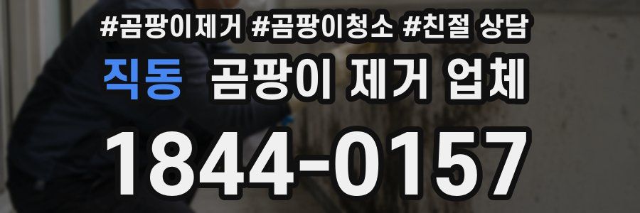 직동 곰팡이 제거 업체