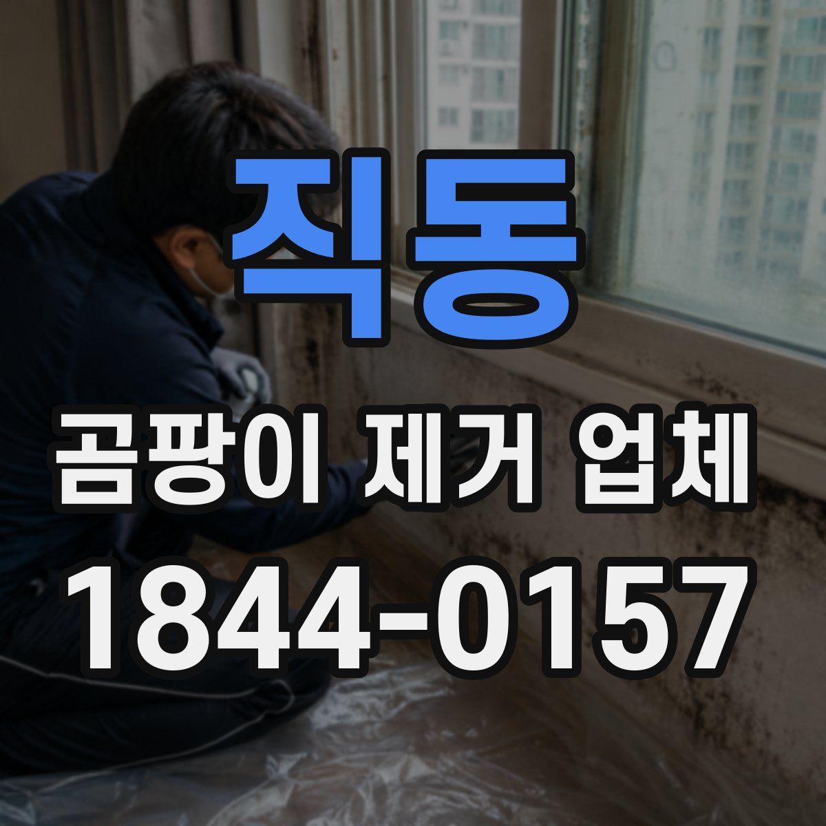 직동 곰팡이 제거 업체