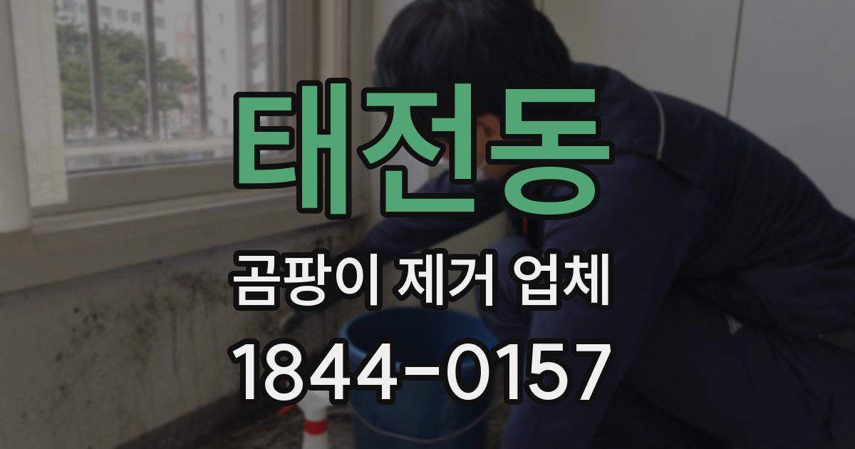 태전동 곰팡이 제거 업체