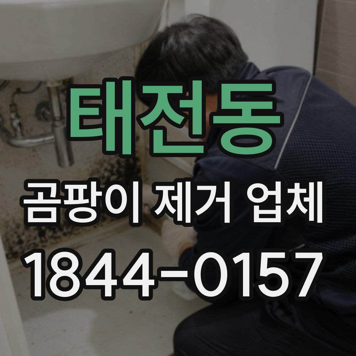 태전동 곰팡이 제거 업체