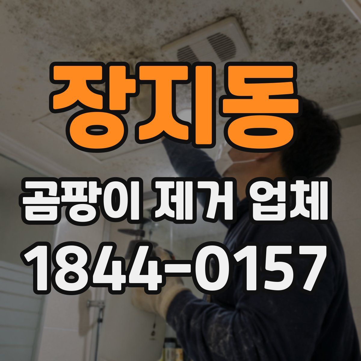 장지동 곰팡이 제거 업체