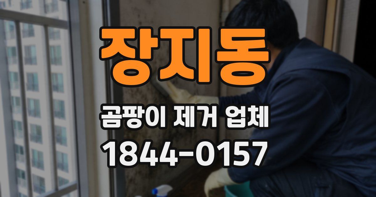 장지동 곰팡이 제거 업체