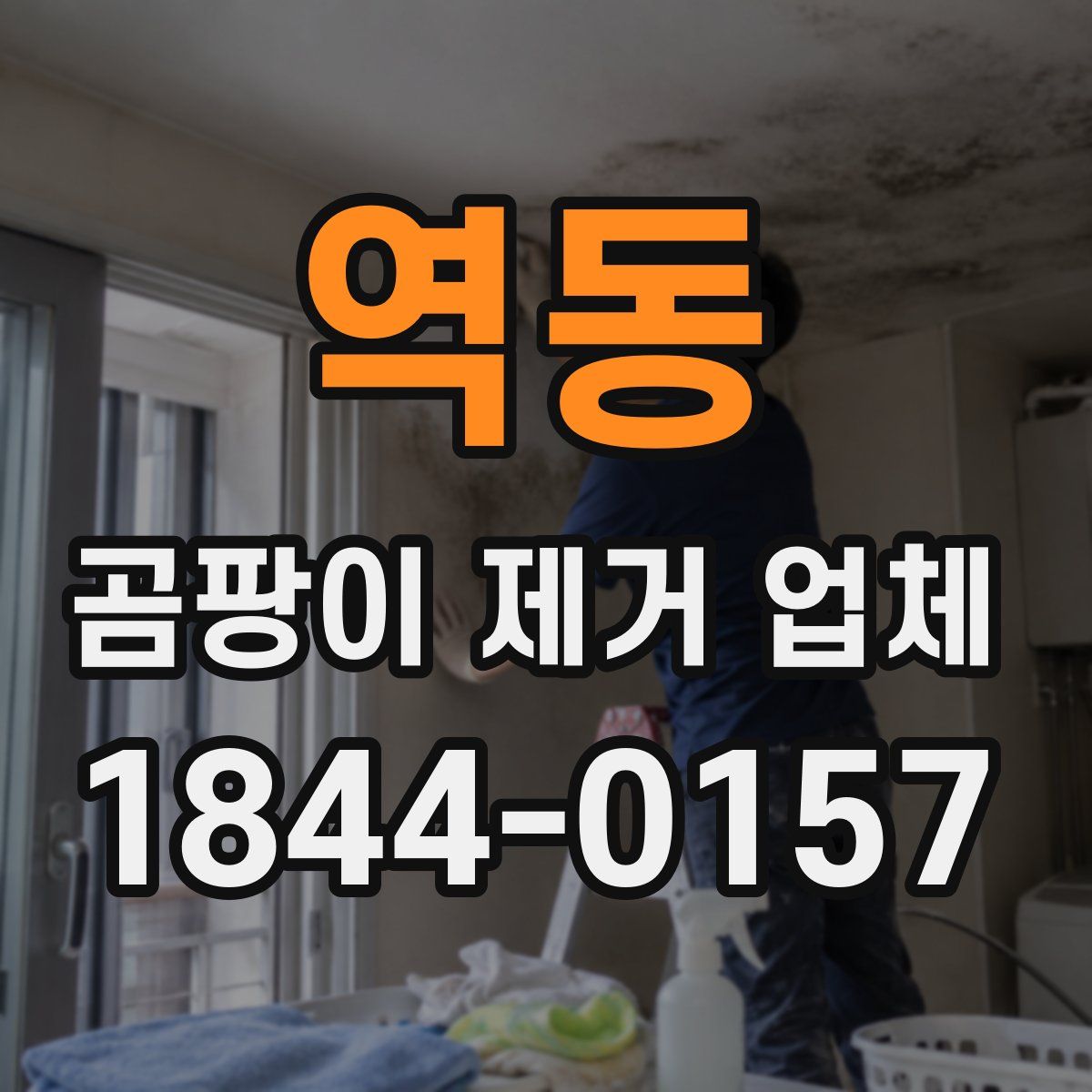 역동 곰팡이 제거 업체