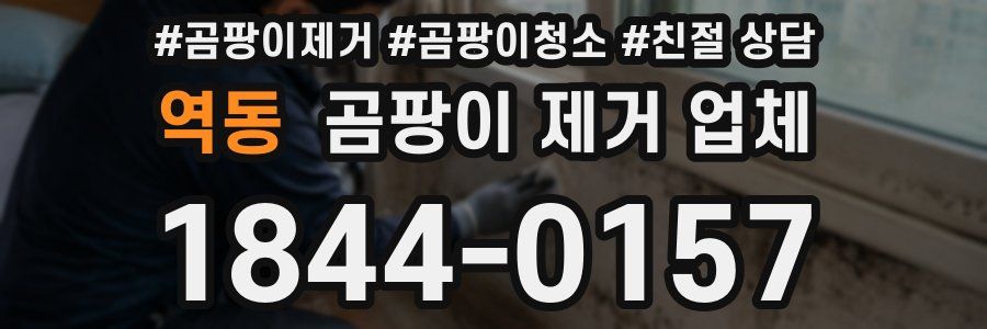 역동 곰팡이 제거 업체