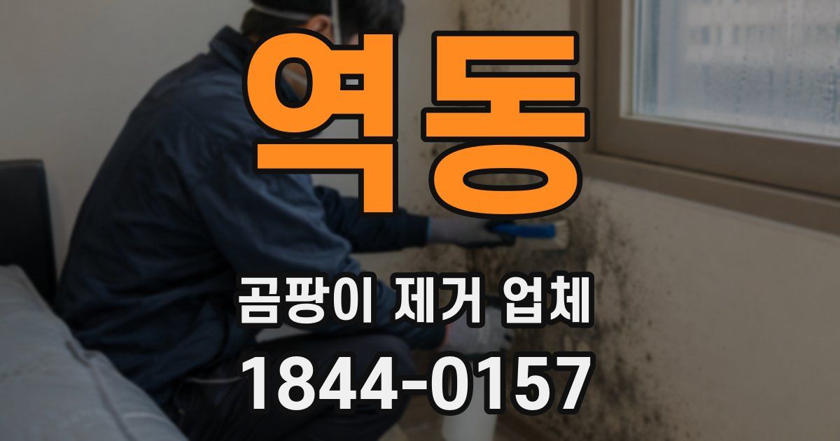 역동 곰팡이 제거 업체