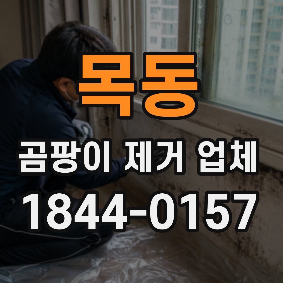 목동 곰팡이 제거 업체