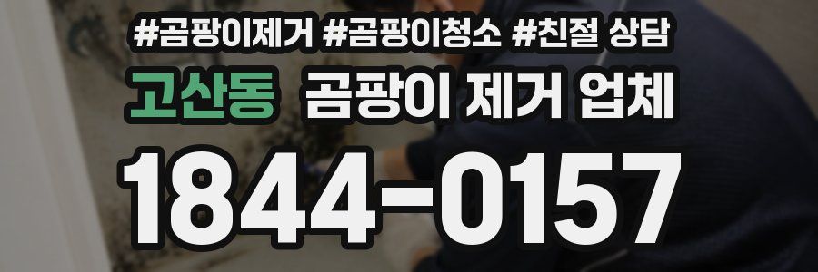 고산동 곰팡이 제거 업체