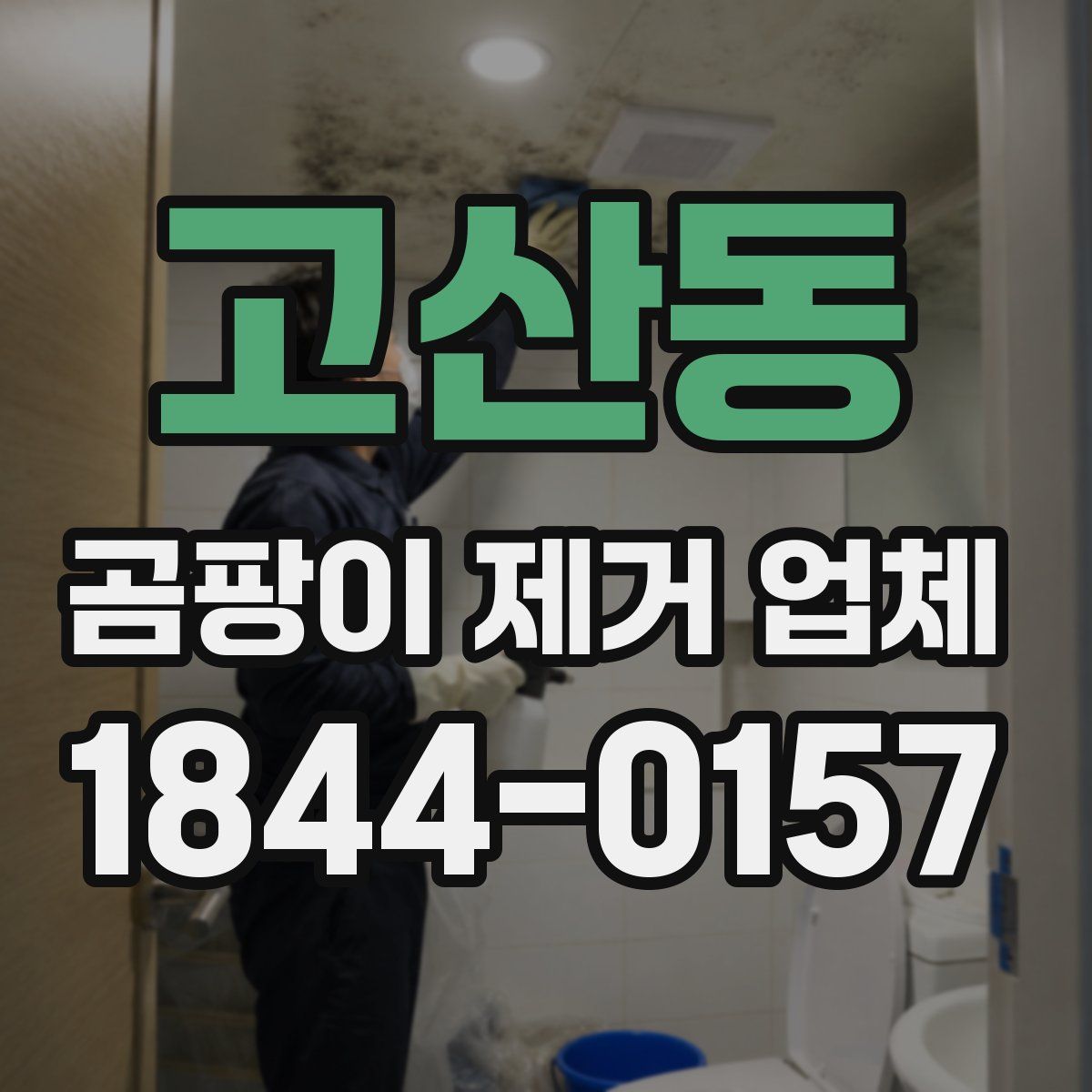 고산동 곰팡이 제거 업체