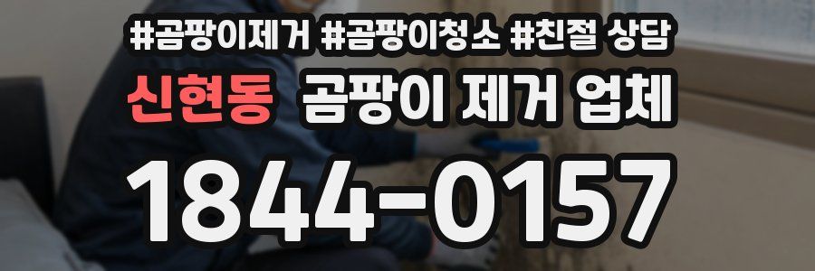 신현동 곰팡이 제거 업체