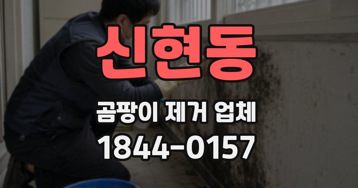 신현동 곰팡이 제거 업체