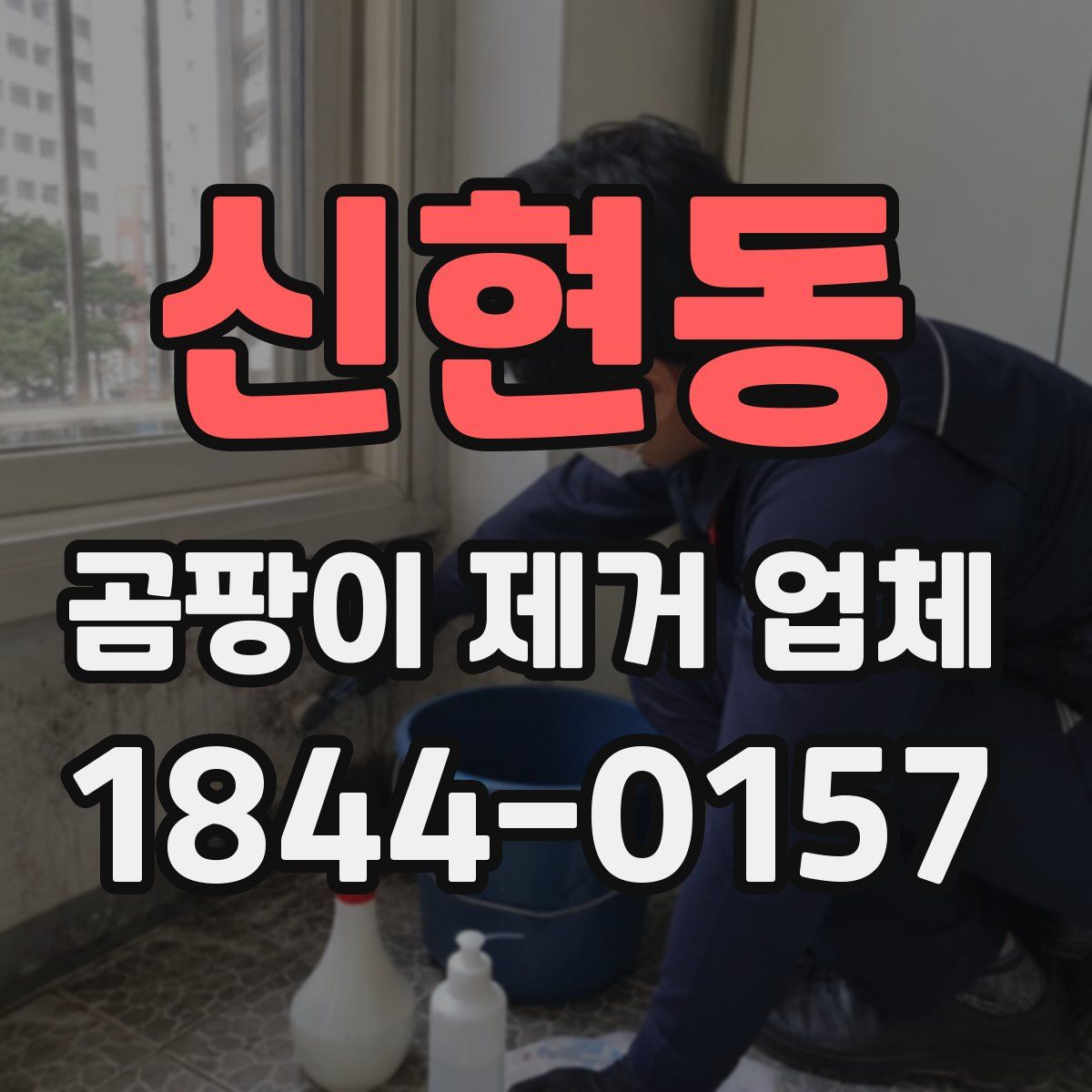신현동 곰팡이 제거 업체