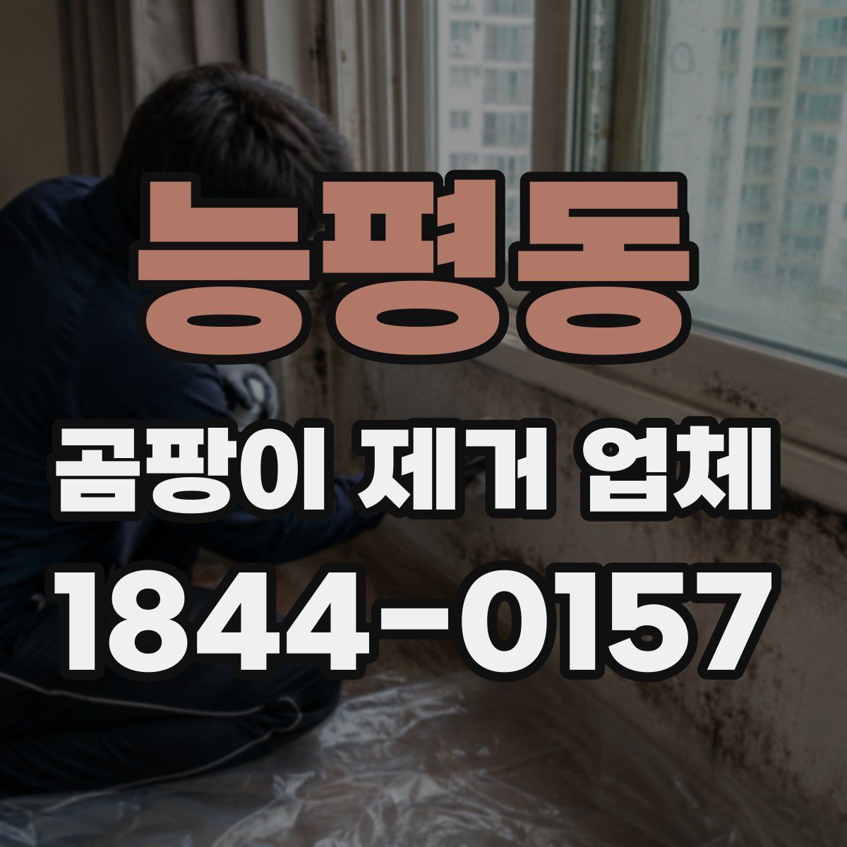 능평동 곰팡이 제거 업체
