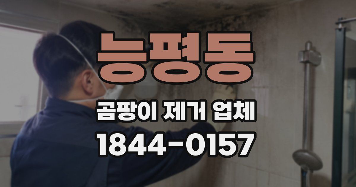 능평동 곰팡이 제거 업체