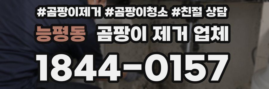능평동 곰팡이 제거 업체