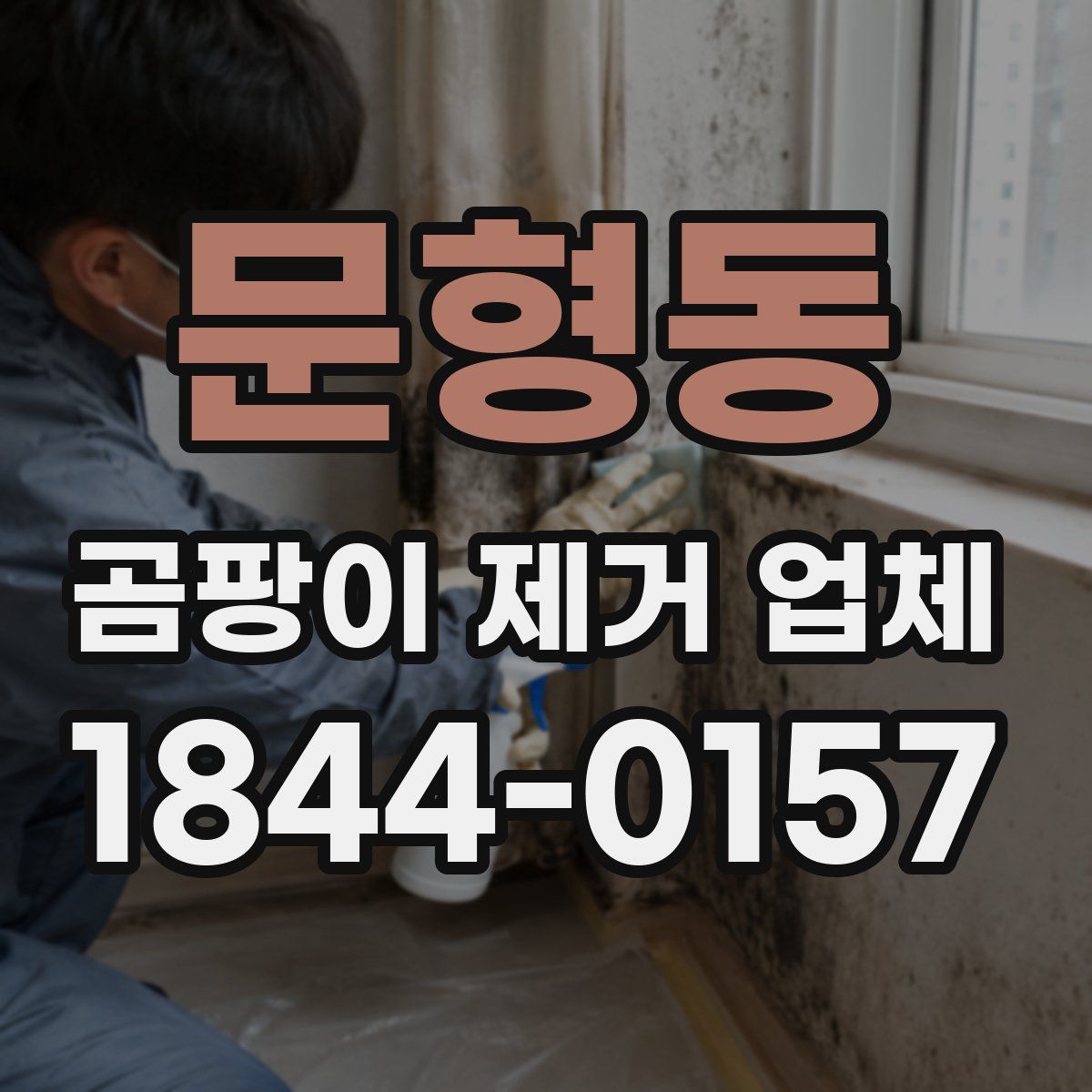 문형동 곰팡이 제거 업체