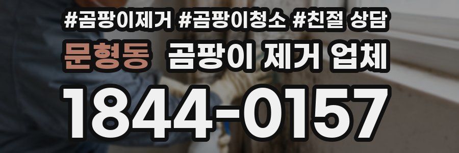 문형동 곰팡이 제거 업체