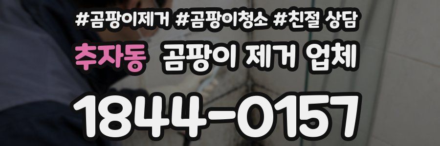 추자동 곰팡이 제거 업체