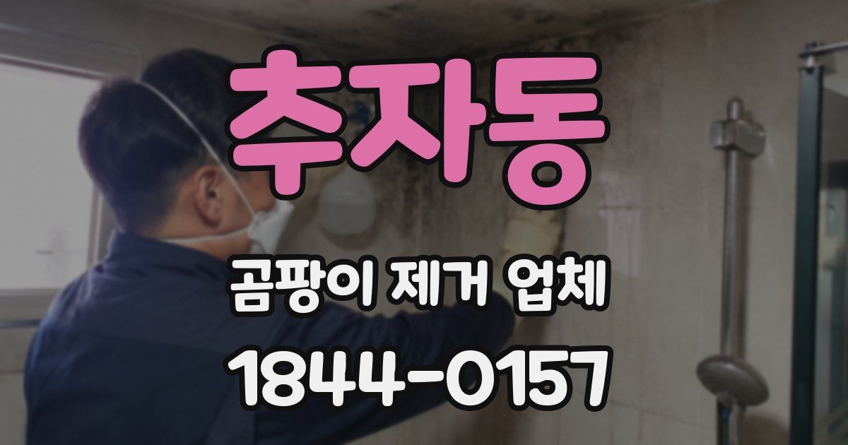 추자동 곰팡이 제거 업체