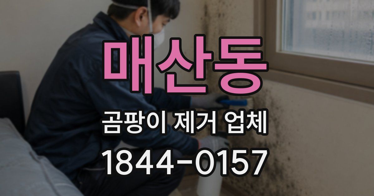 매산동 곰팡이 제거 업체