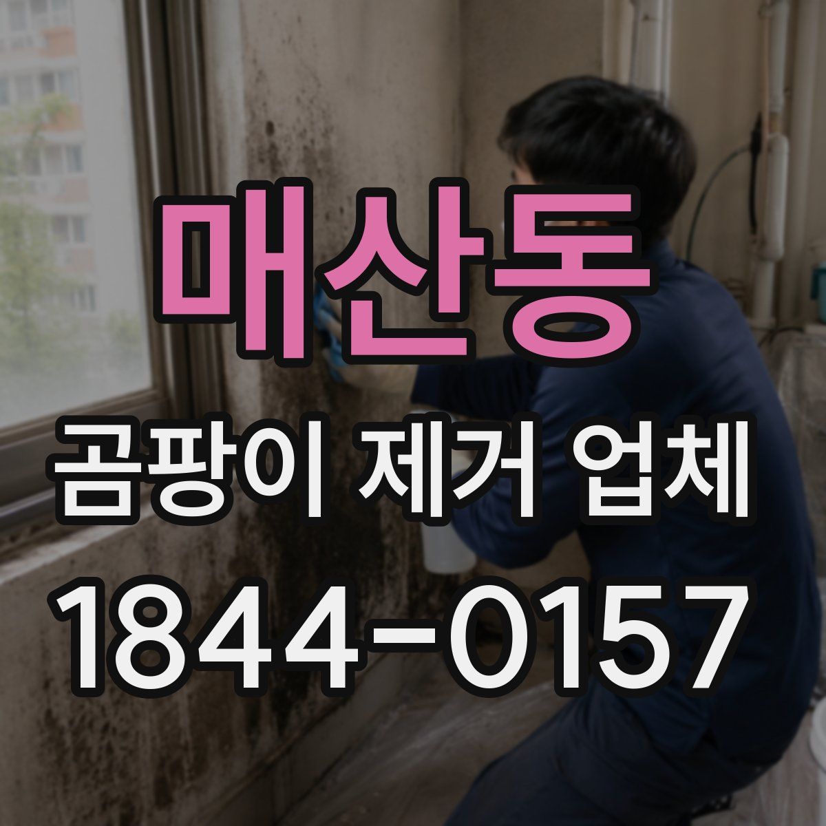 매산동 곰팡이 제거 업체