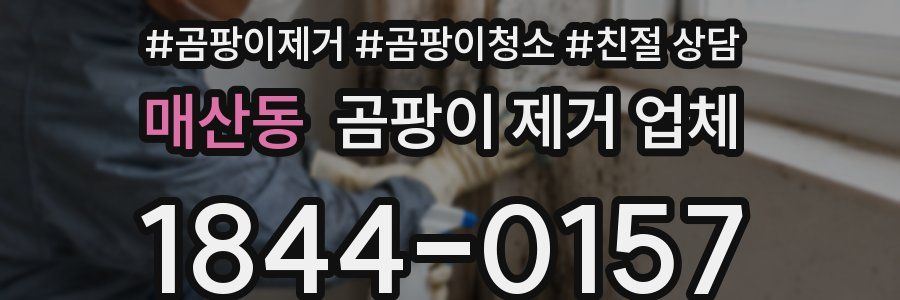 매산동 곰팡이 제거 업체