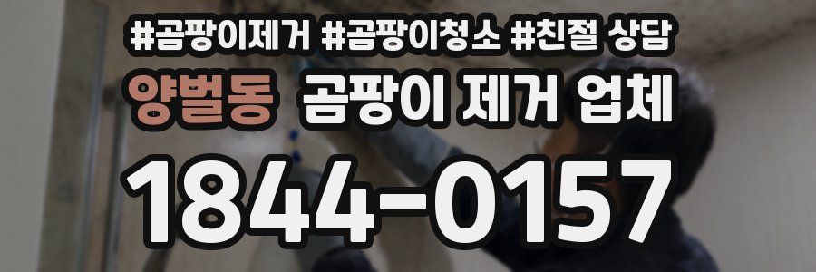 양벌동 곰팡이 제거 업체