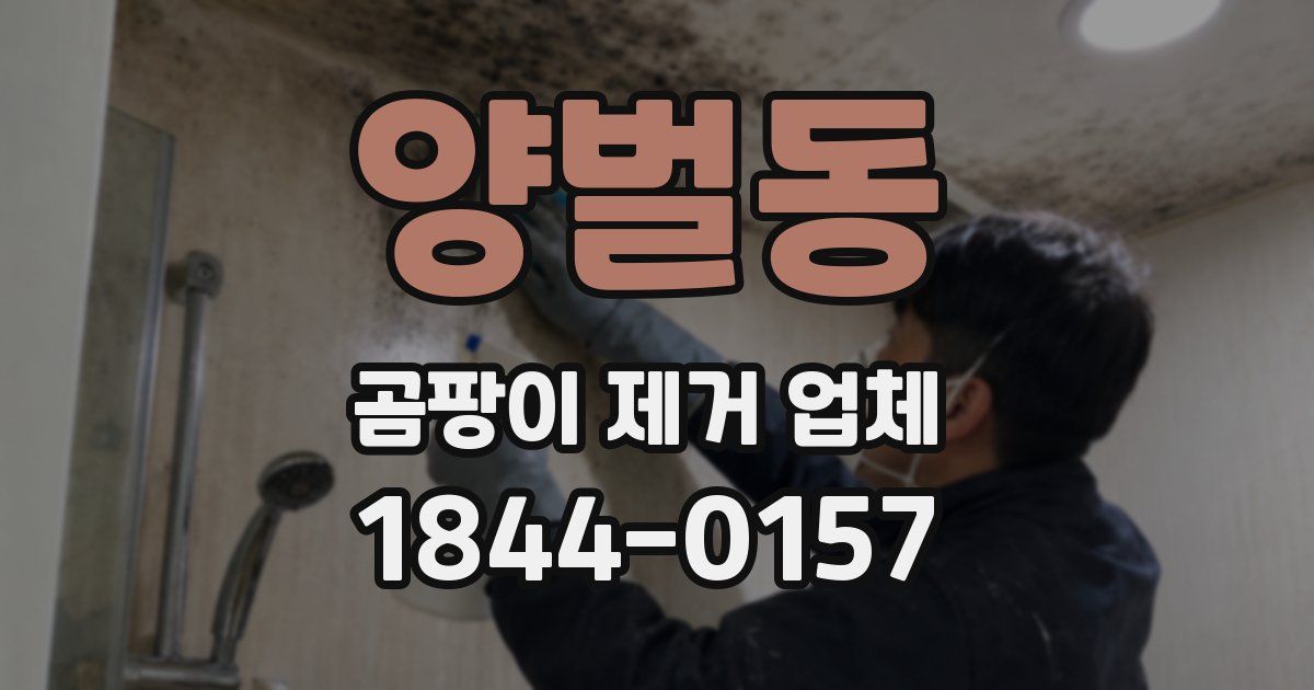 양벌동 곰팡이 제거 업체