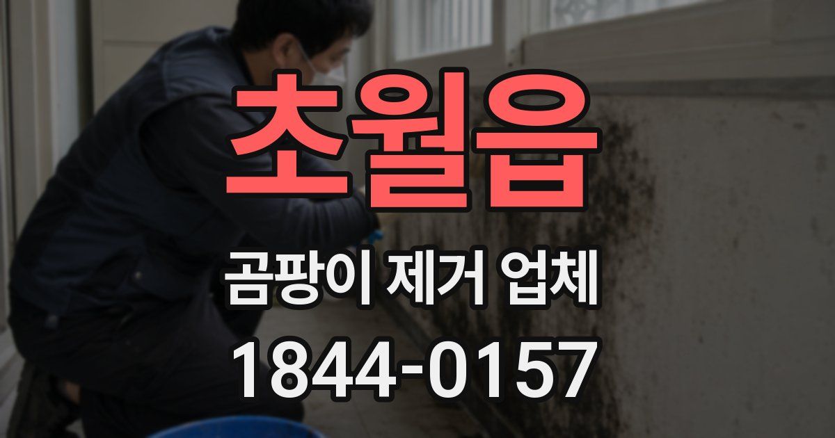 초월읍 곰팡이 제거 업체