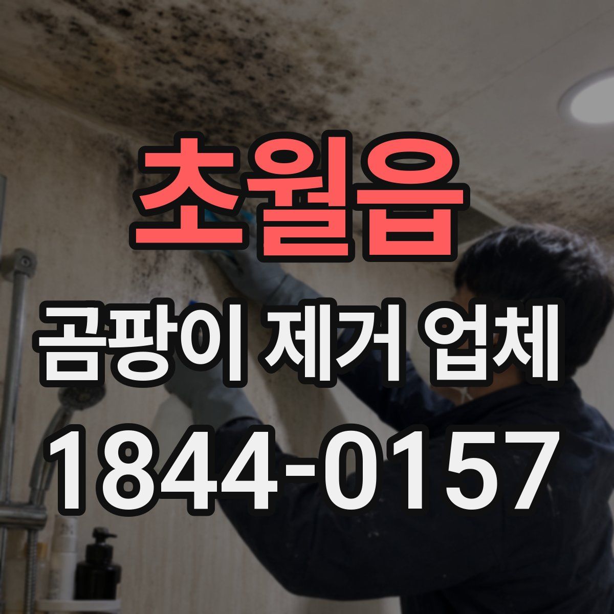 초월읍 곰팡이 제거 업체
