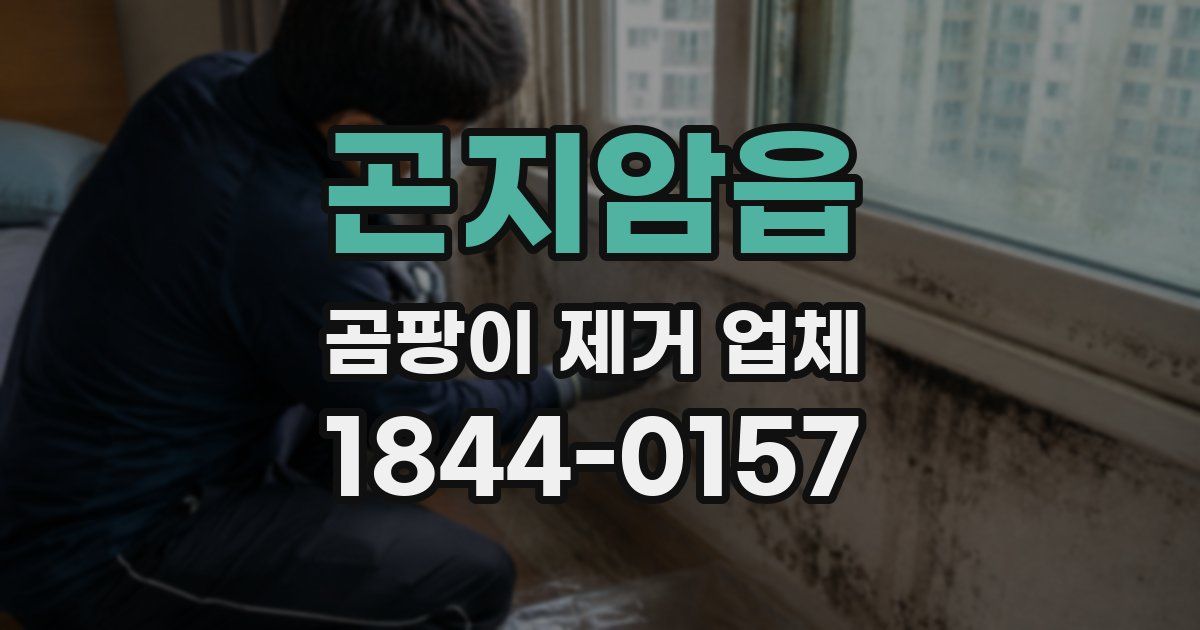 곤지암읍 곰팡이 제거 업체