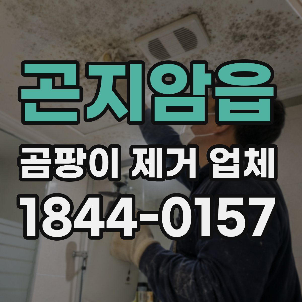 곤지암읍 곰팡이 제거 업체