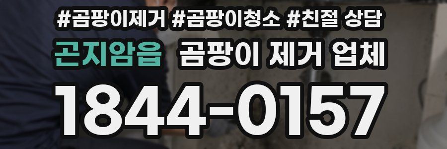 곤지암읍 곰팡이 제거 업체