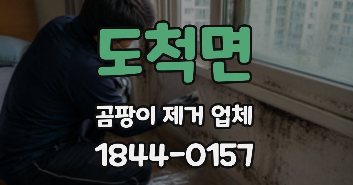 도척면 곰팡이 제거 업체
