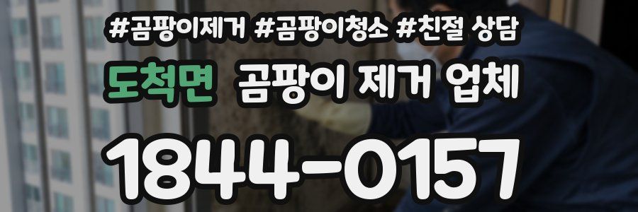 도척면 곰팡이 제거 업체