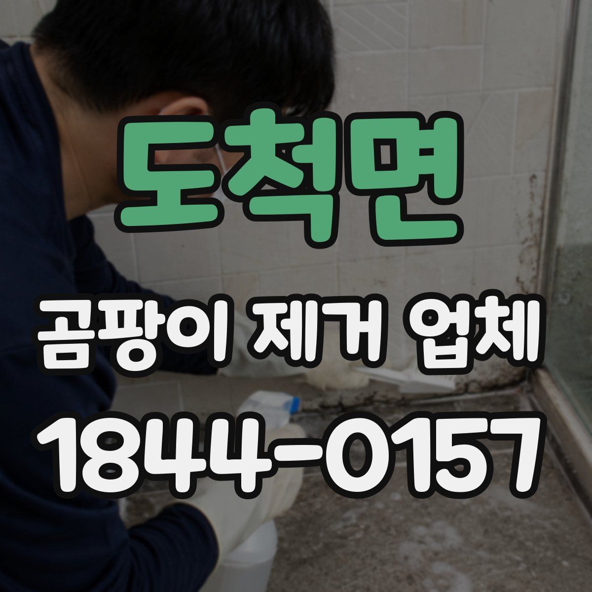 도척면 곰팡이 제거 업체