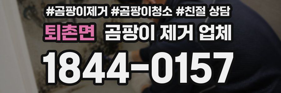 퇴촌면 곰팡이 제거 업체