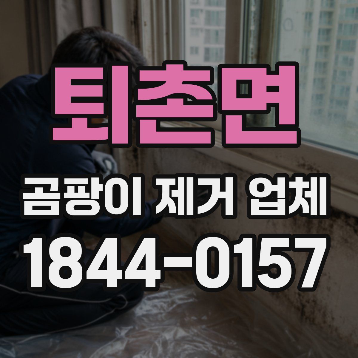 퇴촌면 곰팡이 제거 업체