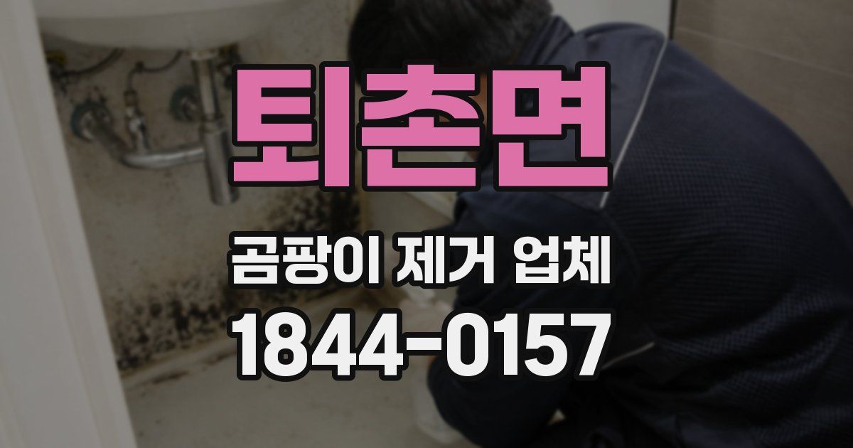 퇴촌면 곰팡이 제거 업체