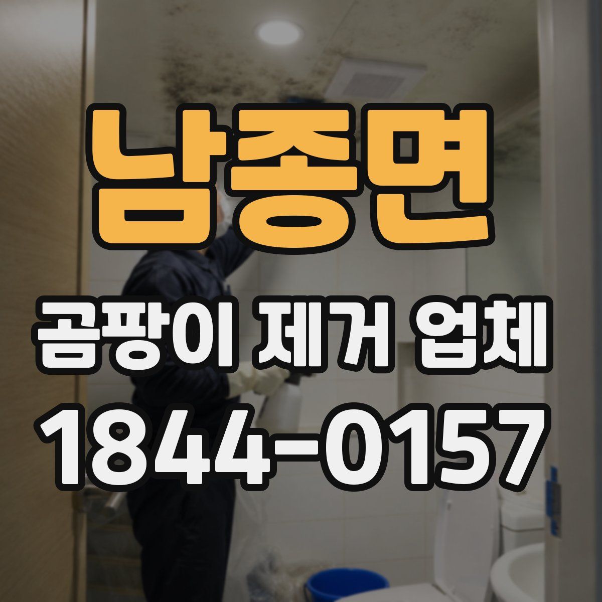 남종면 곰팡이 제거 업체