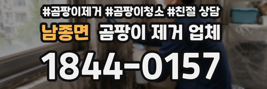남종면 곰팡이 제거 업체