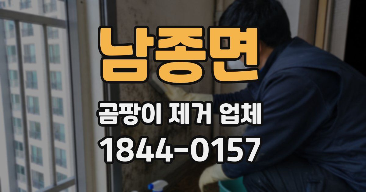 남종면 곰팡이 제거 업체