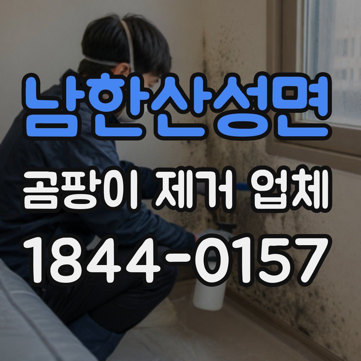 남한산성면 곰팡이 제거 업체
