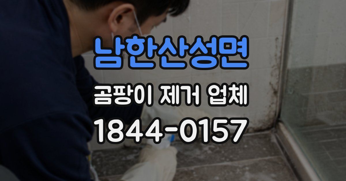 남한산성면 곰팡이 제거 업체