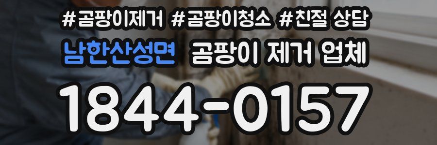 남한산성면 곰팡이 제거 업체