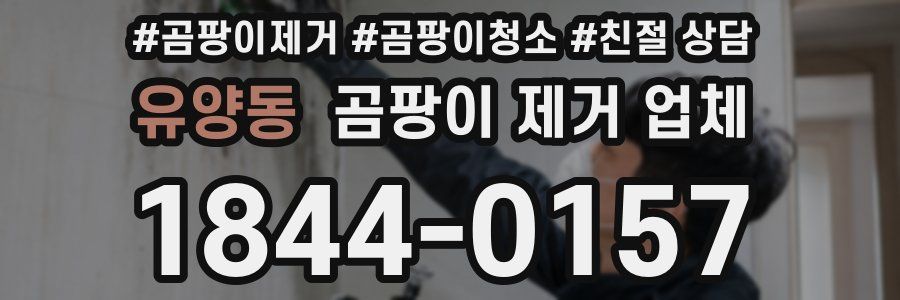 유양동 곰팡이 제거 업체