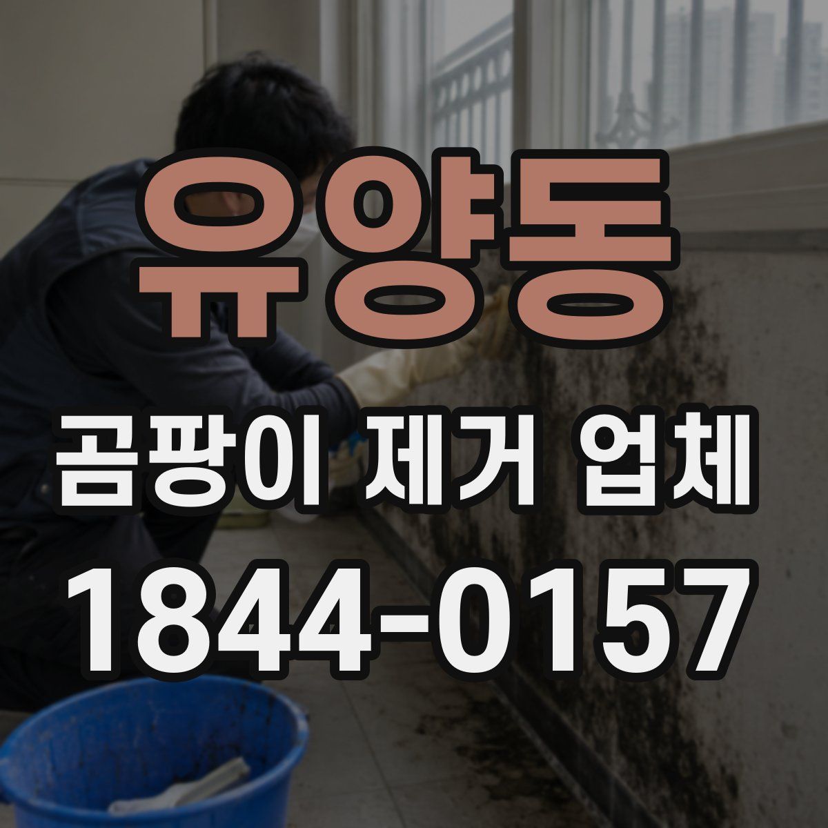유양동 곰팡이 제거 업체