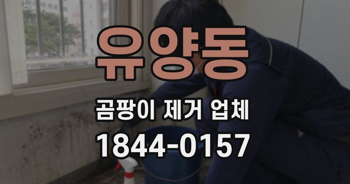 유양동 곰팡이 제거 업체