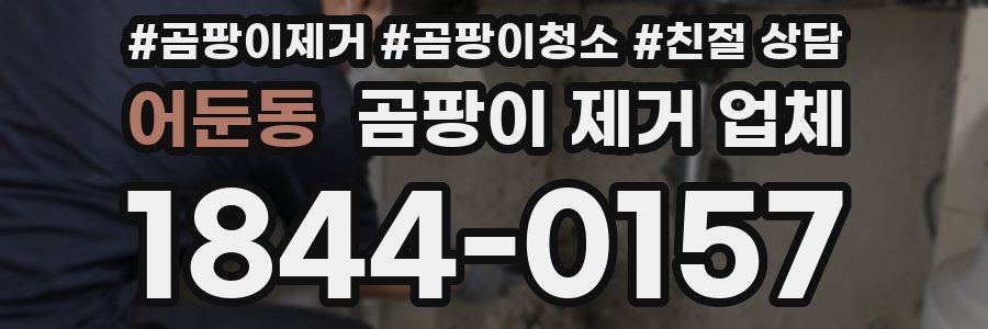 어둔동 곰팡이 제거 업체