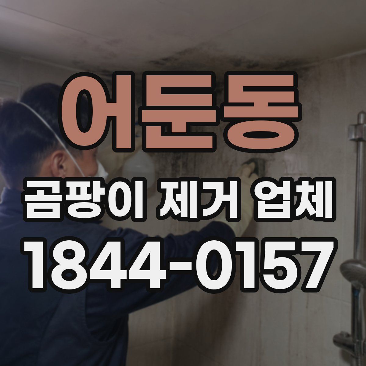 어둔동 곰팡이 제거 업체